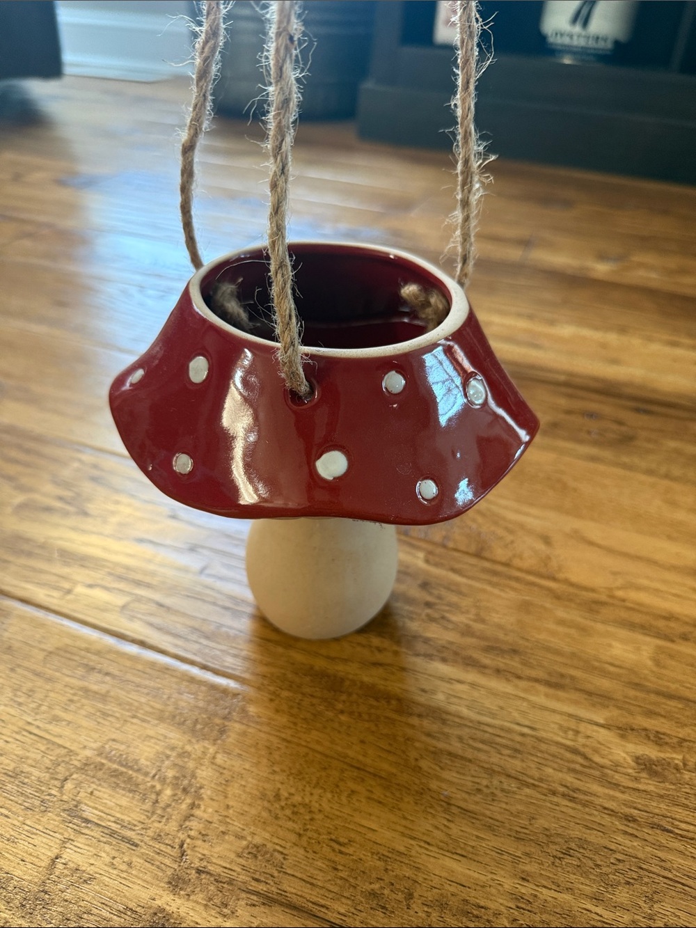 Mushroom Hanging Plant Holder